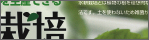 情報誌パープル特集